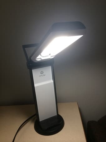 Eye-protecting OttLite Task Lamp ($30) 1