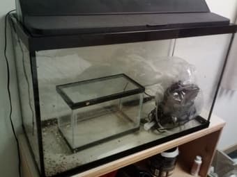 glass tanks with filters 1