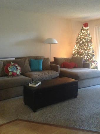 Sublet 1 Nice br. Apartment in Mountain View, Dec 20 - Jan 6 1