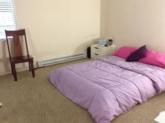 Sublet 1 Nice br. Apartment in Mountain View, Dec 20 - Jan 6 3