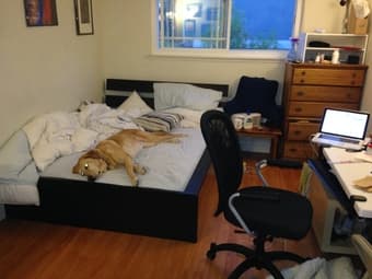 Spacious room in Cupertino! 890/month. Quick zip up 280 to Stanford 1