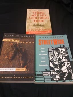 SOC149 /249 /URBANST112: Urban Underclass--  7 books for $75!!! 2