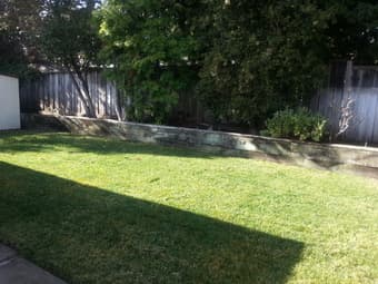 Available NOW: Room in 4br apartment with Stanford grad students 2