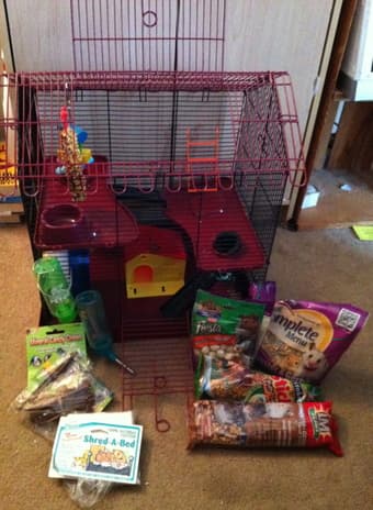** 3 story Small Animal Cage w/ Food, Toys, & Accessories ** $40 1