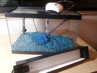 5gal fish tank with lamp, thermostat and pump 1