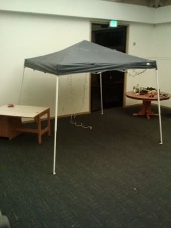 9x9 shade canopy: $35 1