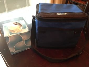 moving sale, lunch box bag, only $5 1