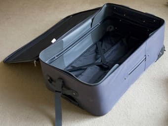 TRAVEL SUITCASES -- $20 needs to go by tomorrow 3