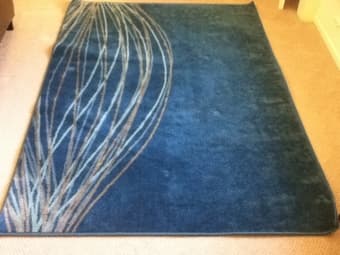 Fun turquoise carpet - $15 1
