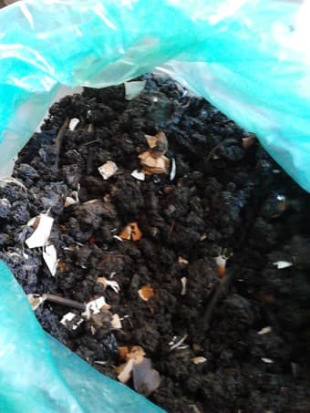 Vermicompost $5 per pound 1