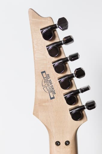 Electric Guitar Ibanez RG320DXQM for $200 2