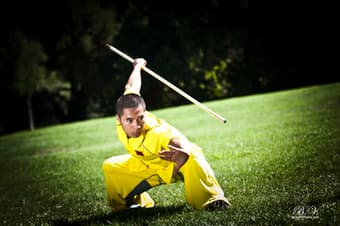 Kong Fu/ Self-defense Partner Needed! 2