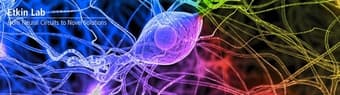 Volunteer in Brain Imaging Psychiatry Lab 1
