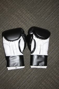 Title 16oz Boxing Gloves 2