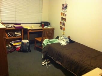 1 BR sublet in EV low rise apt. 6/14 - 9/1 1