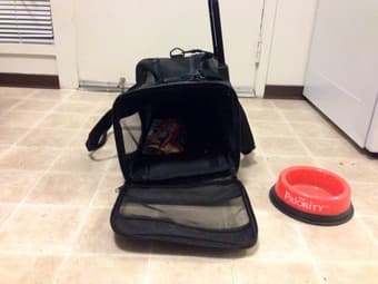 Pet Carry On 2