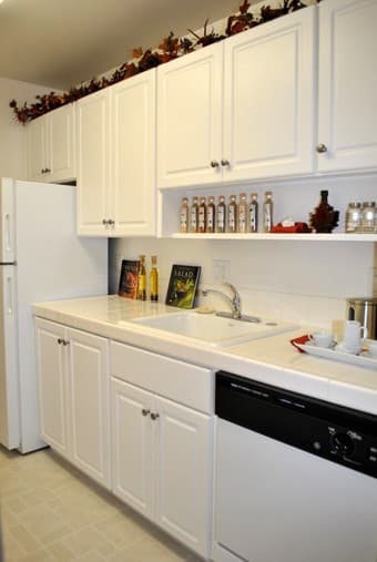Luxury 1BR Apt on Sand Hill Dr 3