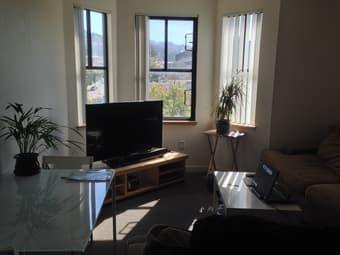 SUMMER SUBLET IN BERKELEY: Beautiful room in a two-bedroom apartment 1