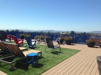 SUMMER SUBLET IN BERKELEY: Beautiful room in a two-bedroom apartment 2