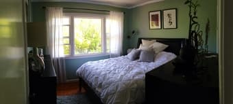 Cute 1Br/1Bth with 2 kitties for sublet (July 3 - July 11 any days) 3