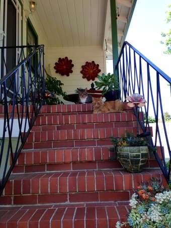 INCREDIBLE Redwood City In Law Unit Available from Aug 5 – Nov-ish 1