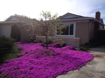 A single house in a quiet, convenient Fremont location 1