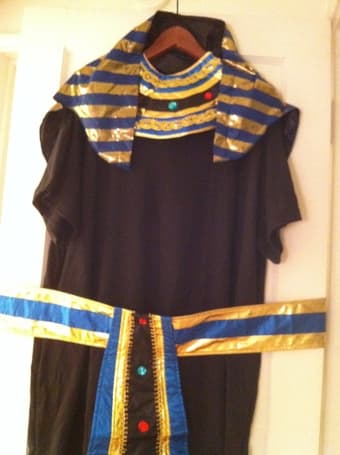 Halloween Costume: Pharaoh - $5 1