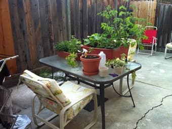 Master bedroom summer sublet in 3BR apartment in downtown Palo Alto 2