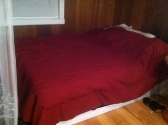 Queen Bed + Box Spring = $100 2