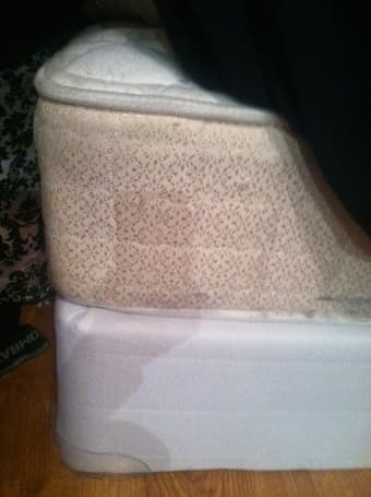 Queen Bed + Box Spring = $100 3