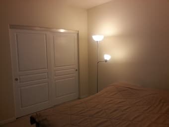 Large Bedroom in Spacious Apt - 950/mo 3