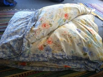 Twin Down Comforter ($30) 1
