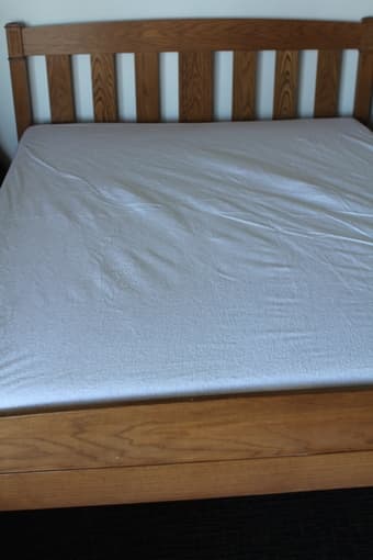 Bed Bug Protector Queen $25 1