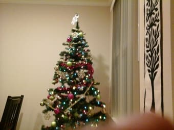 Moving sale: Xmas tree,lights and Xmas decorations- $20 1