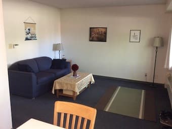 Room in EV 2BR for sublet (male), 7/24--9/6, $1000/month 2