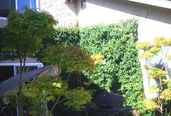 $1100 Spacious 16 X 12 Rm in 4bd/2ba house (palo alto) 3