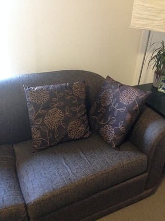 2 throw pillows - floral, brown - $12 for both 1