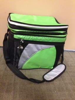 Mini cooler (great for beach trips!) $20 or best offer 1