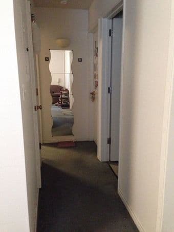 ***1BR in Spacious Rains Houses, Female, $900/month 斯坦福校园内1间卧室出租*** 3