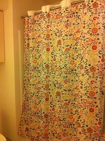 Like-new Shower Curtain- $5 1