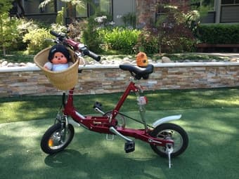 3-speed VeloMini Folding Electric Bicycle 1