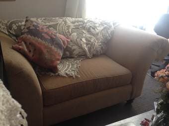 Comfy loveseat! $50 OBO 1