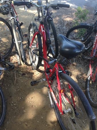 Red Fuji Bike $100 1