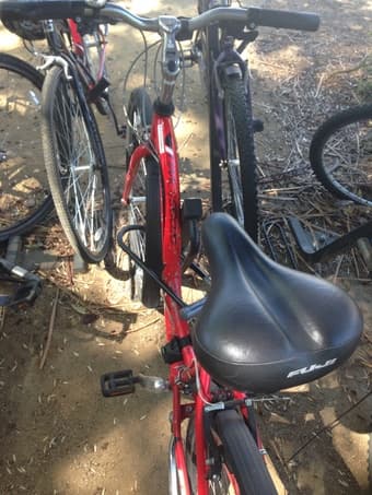 Red Fuji Bike $100 2