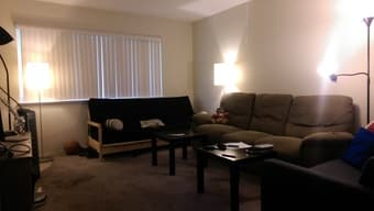 2 Spots open in Menlo Park Apartment 2