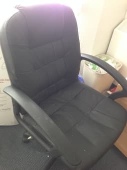 Work Chair ($50 from around $100) 1