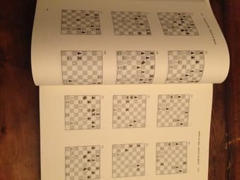Chess training in 5333+1 positions - $90 1