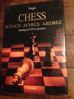 Chess training in 5333+1 positions - $90 3