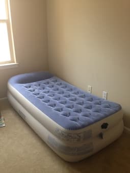 Twin Air bed with pump $30 1