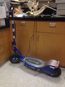 Razor E300 electric scooter: $120 2